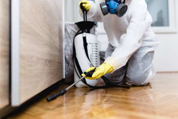 Reliable Mansfield, AR Pest Control Solutions
