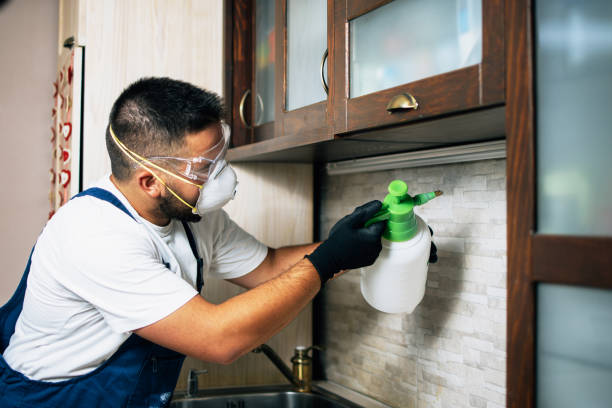 Best Termite Control Services  in Mansfield, AR