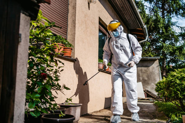 Best Best Pest Control Companies  in Mansfield, AR
