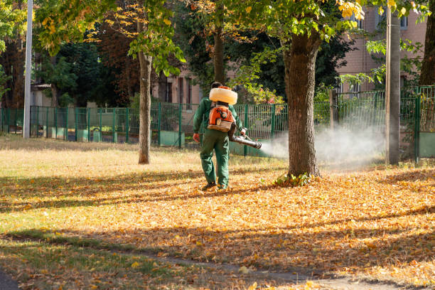 Best Pest Removal Services  in Mansfield, AR