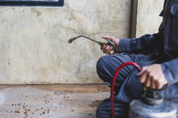 Best Best Pest Control Companies  in Mansfield, AR
